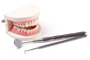 <a href="https://www.freepik.com/free-photo/white-teeth_6190929.htm#query=dentures&position=2&from_view=search&track=sph">Image by Racool_studio</a> on Freepik