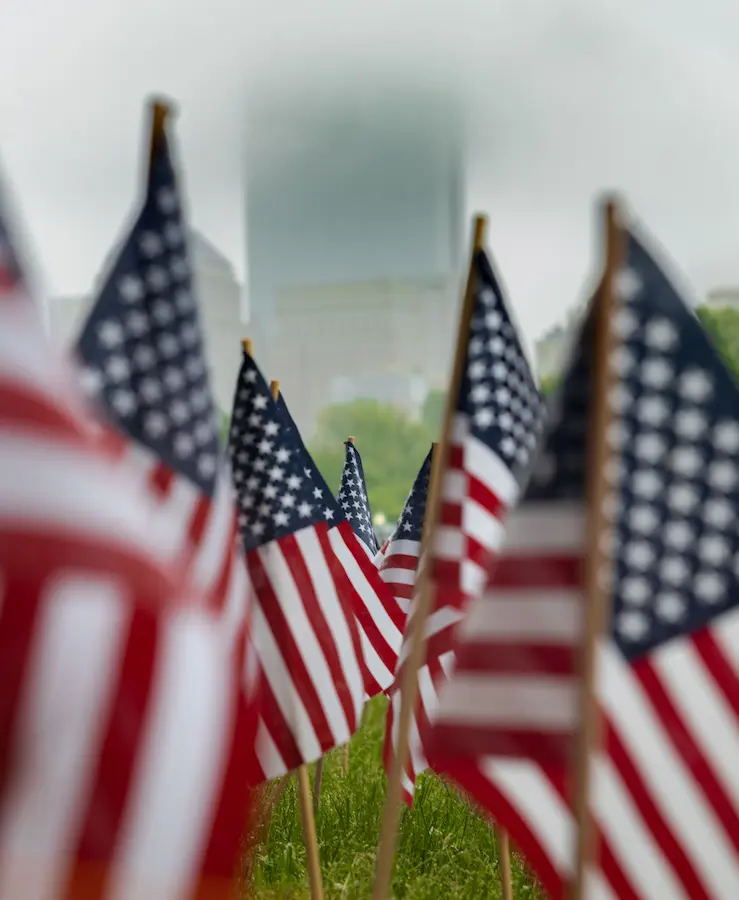 American Flags on a Grassy Field in Urban Setting